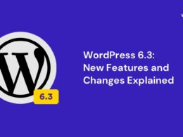 wordpress 6.3